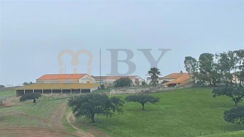 Quinta para Venda em Beja (Santiago Maior e São João Baptista)