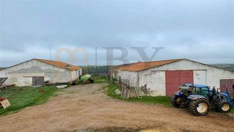 Quinta para Venda em Beja (Santiago Maior e São João Baptista)