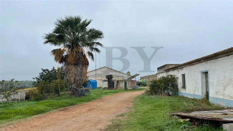 Quinta para Venda em Beja (Santiago Maior e São João Baptista)