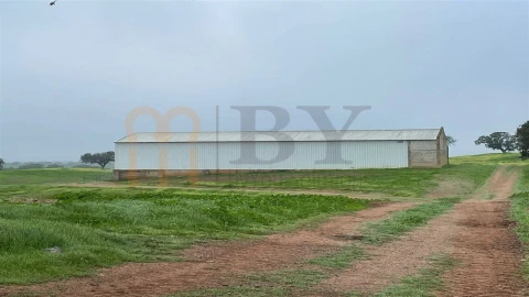 Quinta para Venda em Beja (Santiago Maior e São João Baptista)