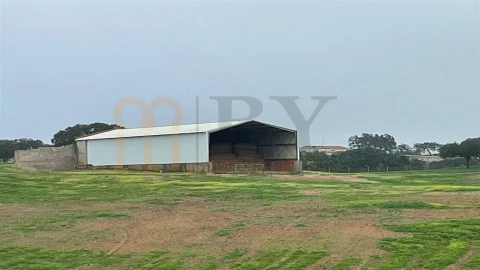 Quinta para Venda em Beja (Santiago Maior e São João Baptista)