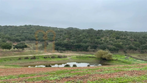 Quinta para Venda em Beja (Santiago Maior e São João Baptista)