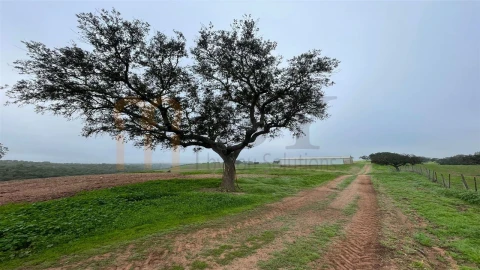 Quinta para Venda em Beja (Santiago Maior e São João Baptista)