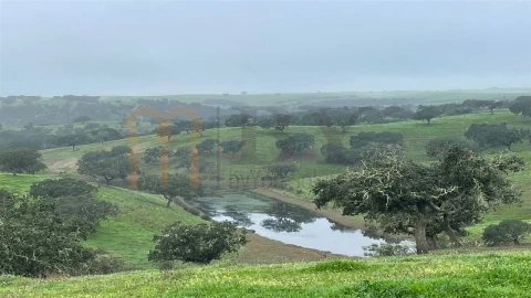 Quinta para Venda em Beja (Santiago Maior e São João Baptista)