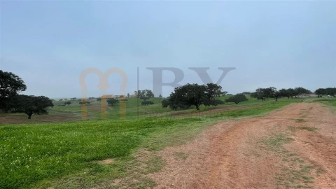 Quinta para Venda em Beja (Santiago Maior e São João Baptista)