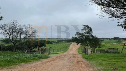 Quinta para Venda em Beja (Santiago Maior e São João Baptista)
