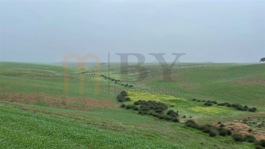 Quinta para Venda em Beja (Santiago Maior e São João Baptista) Foto 3