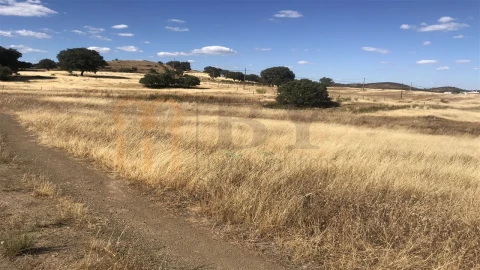 Terreno Agricola ou Rústico para Venda em Mertola
