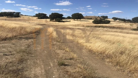 Terreno Agricola ou Rústico para Venda em Mertola