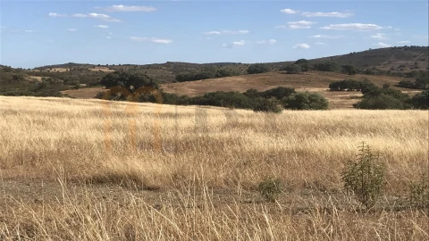 Terreno Agricola ou Rústico para Venda em Mertola