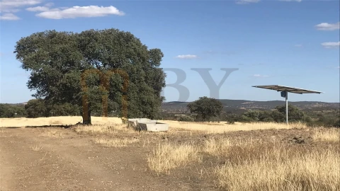 Terreno Agricola ou Rústico para Venda em Mertola