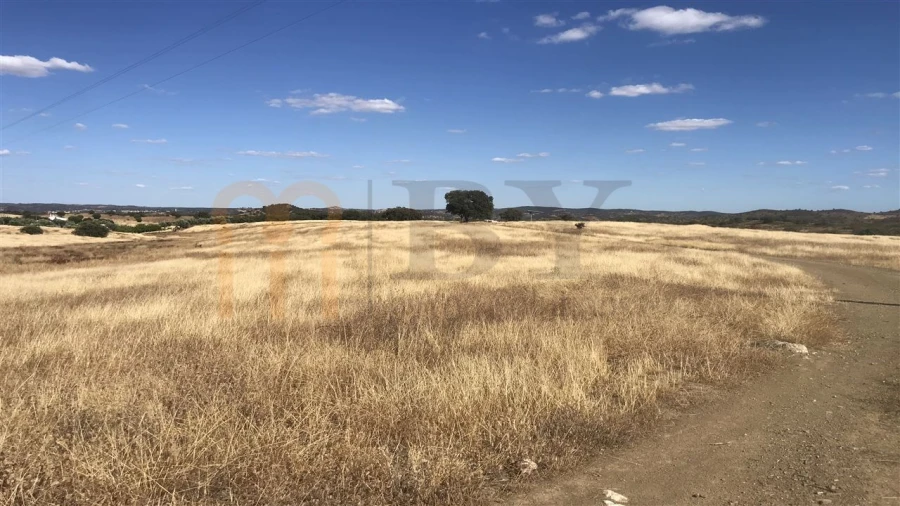 Terreno Agricola ou Rústico para Venda em Mertola Foto 2
