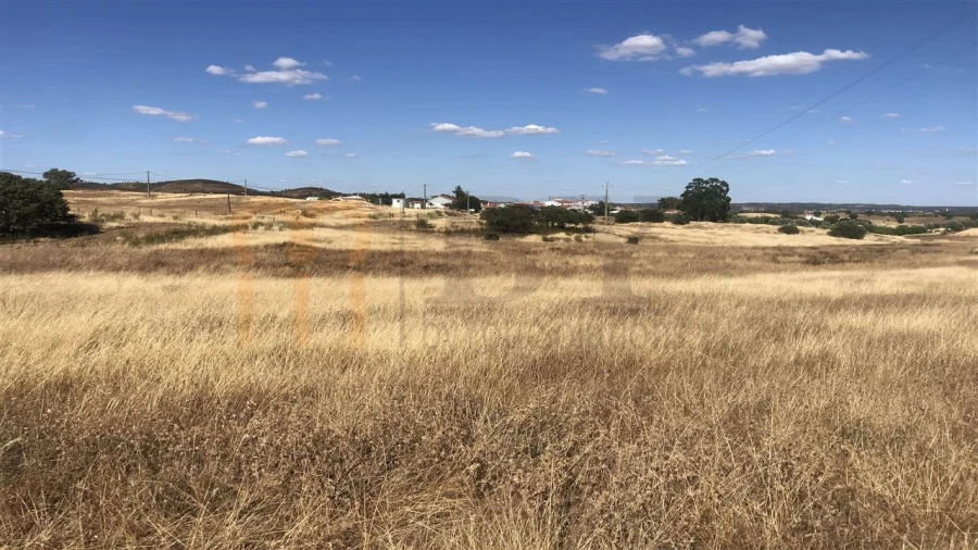 Terreno Agricola ou Rústico para Venda em Mertola Foto 3