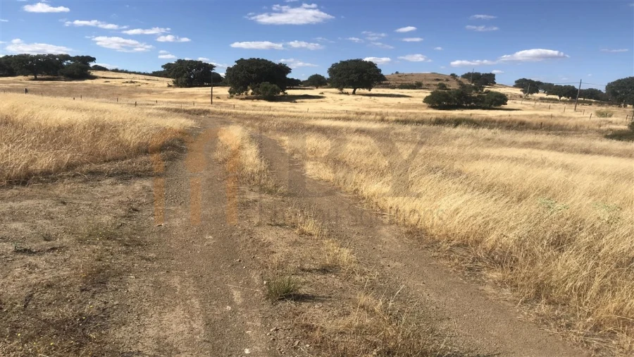 Terreno Agricola ou Rústico para Venda em Mertola Foto 5