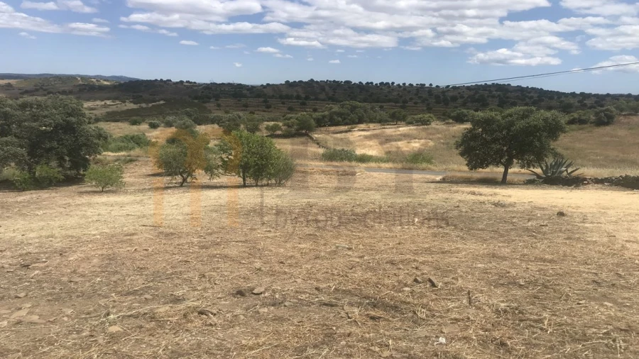 Terreno Agricola ou Rústico para Venda em Espirito Santo