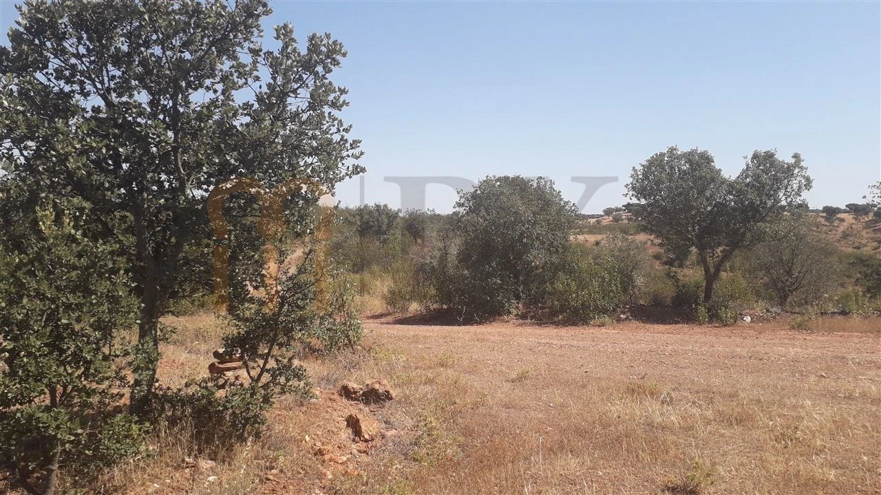 Quinta para Venda em Mertola Foto 19