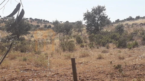 Quinta para Venda em Mertola