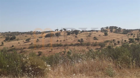 Quinta para Venda em Mertola