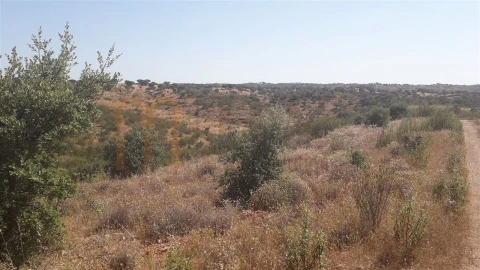 Quinta para Venda em Mertola