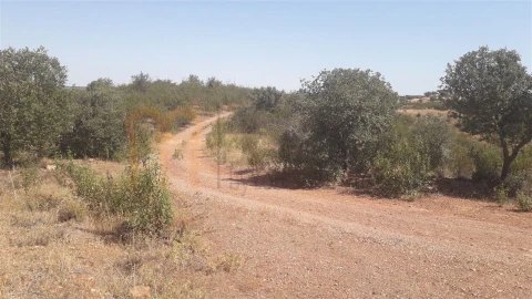 Quinta para Venda em Mertola