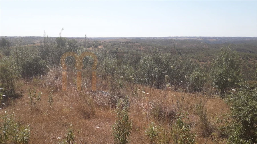 Quinta para Venda em Mertola Foto 3