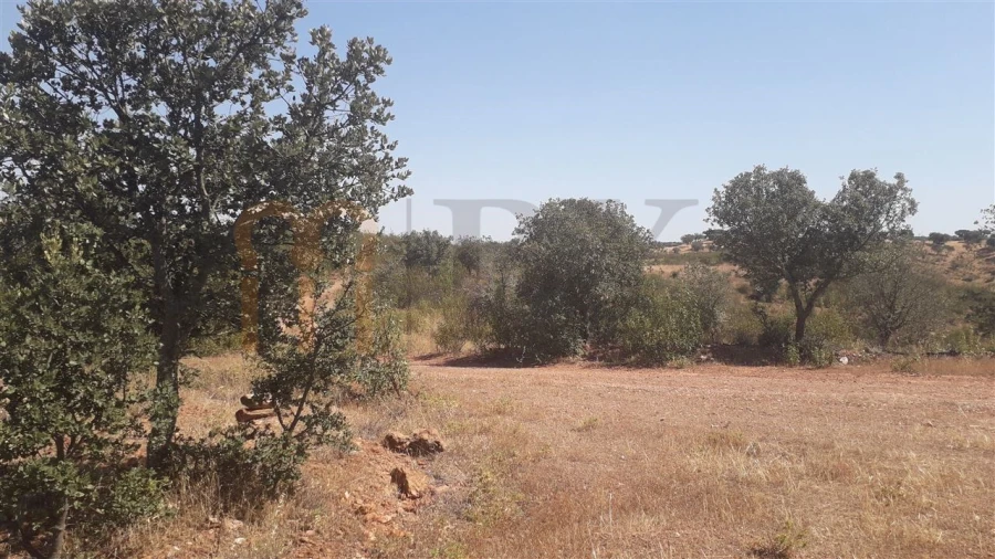 Quinta para Venda em Mertola Foto 19