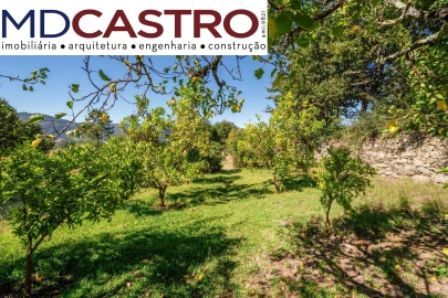 Moradia T4 para Venda em Couto