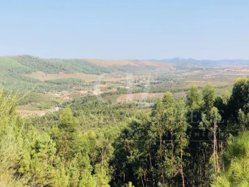 Terreno Misto para Venda em Reguengo e São Julião