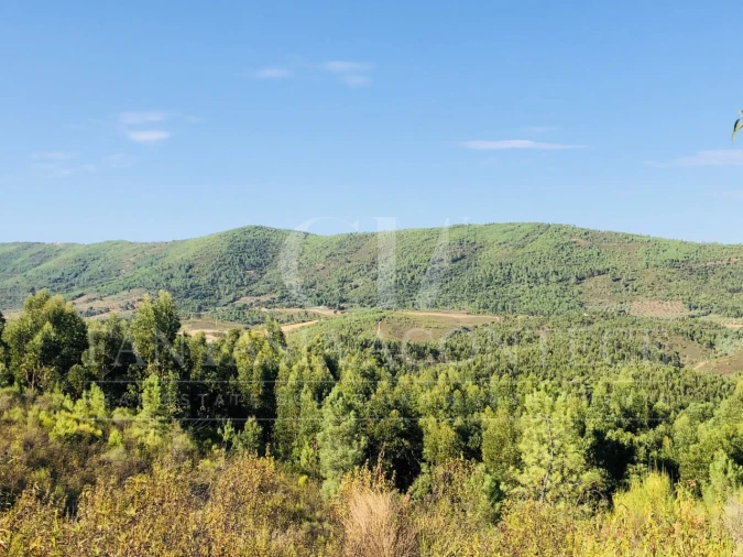 Terreno Misto para Venda em Reguengo e São Julião Foto 23