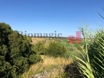 Moradia T7 para Venda em Vila Verde dos Francos