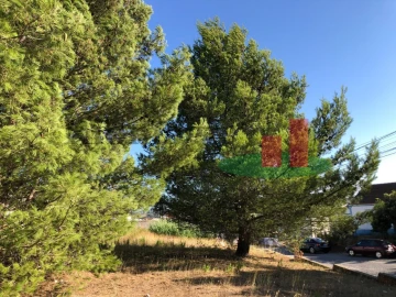 Moradia T7 para Venda em Vila Verde dos Francos