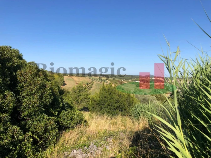 Moradia T7 para Venda em Vila Verde dos Francos Foto 70