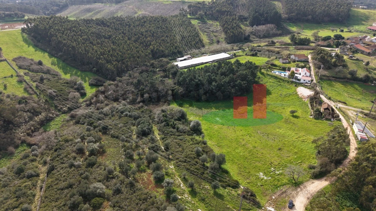 Quinta T6 para Venda em Rio Maior Foto 36