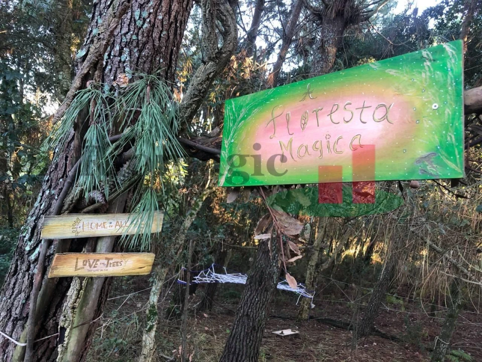 Quinta T6 para Venda em Rio Maior Foto 38