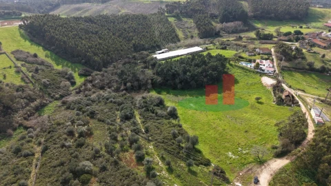 Quinta T6 para Venda em Rio Maior