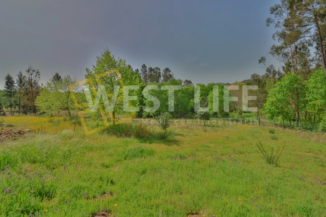 Moradia T5 para Venda em Santa Cruz da Trapa e São Cristóvão de Lafões Foto 16