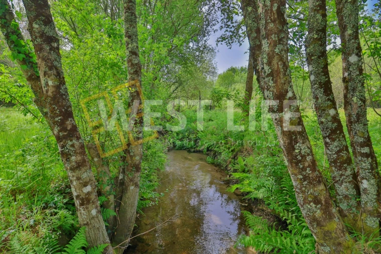 Moradia T5 para Venda em Santa Cruz da Trapa e São Cristóvão de Lafões Foto 15
