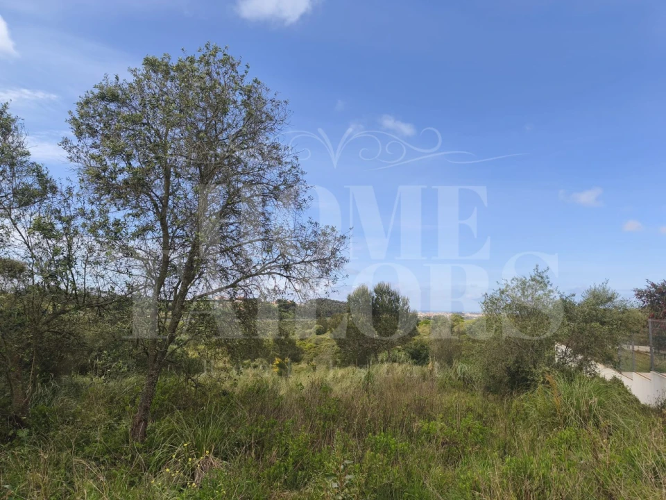 Terreno para Venda em Mafra Foto 5