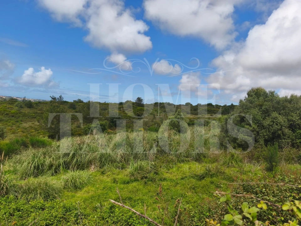 Terreno para Venda em Mafra Foto 6