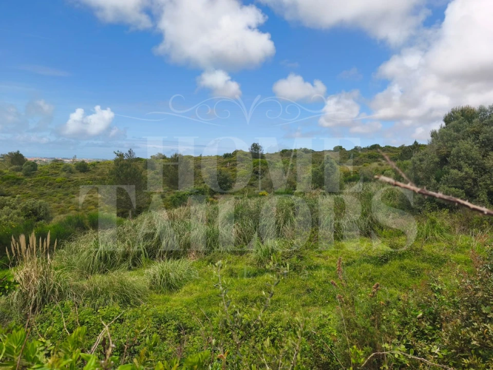 Terreno para Venda em Mafra Foto 14