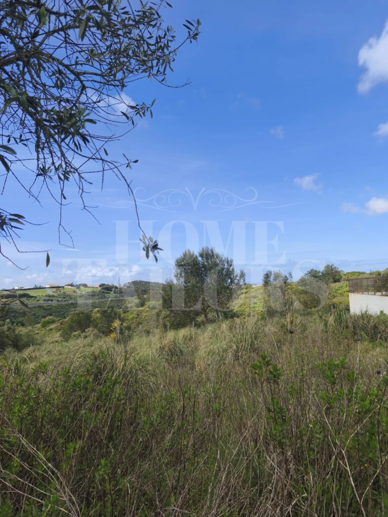 Terreno para Venda em Mafra Foto 22