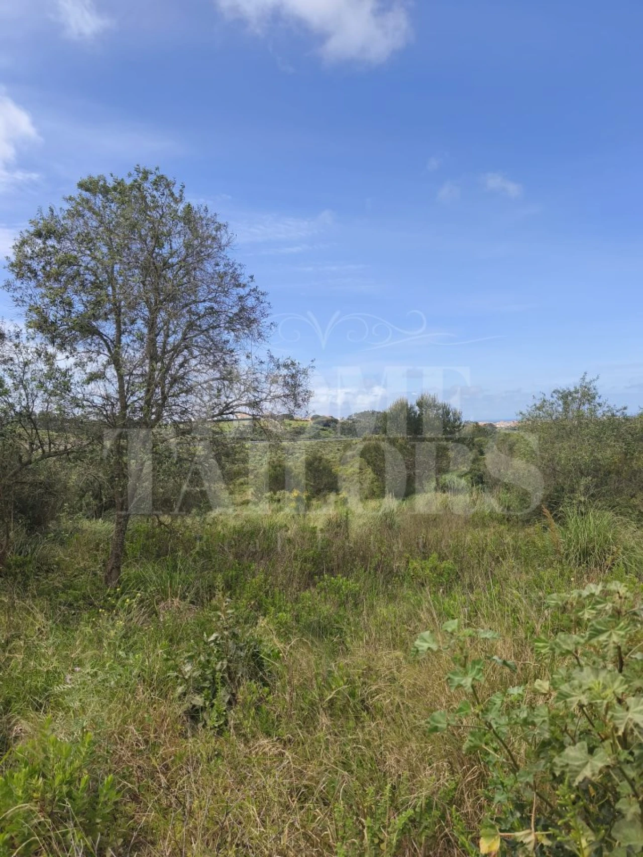 Terreno para Venda em Mafra Foto 23