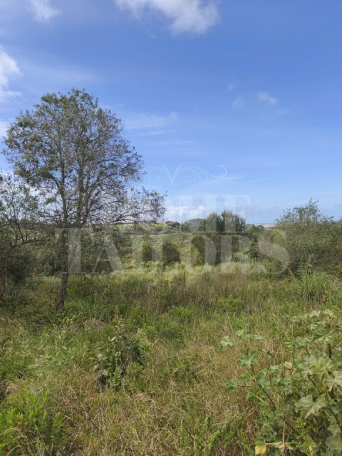 Terreno para Venda em Mafra
