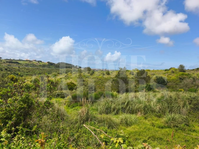 Terreno para Venda em Mafra Foto 18