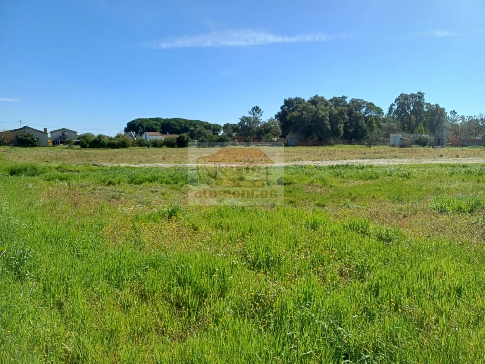 Terreno para Venda em Grândola e Santa Margarida da Serra Foto 3