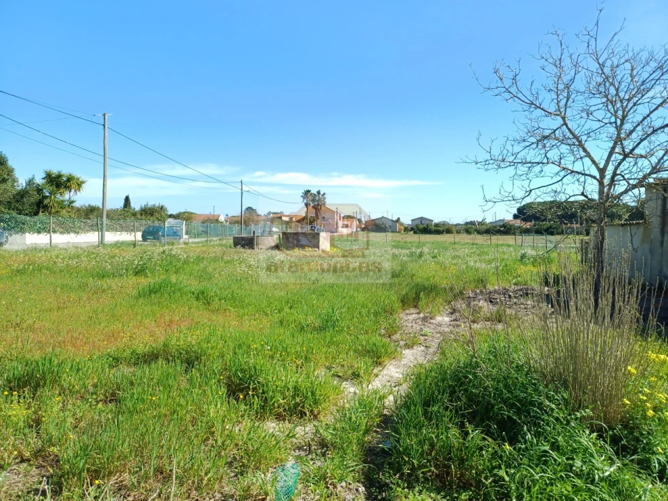 Terreno para Venda em Grândola e Santa Margarida da Serra Foto 4