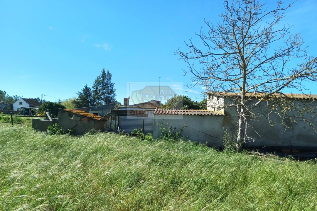 Terreno para Venda em Grândola e Santa Margarida da Serra Foto 6