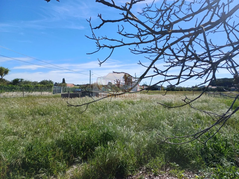 Terreno para Venda em Grândola e Santa Margarida da Serra Foto 7