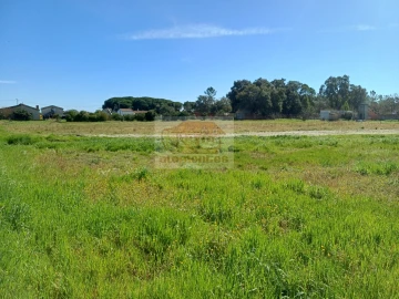 Terreno para Venda em Grândola e Santa Margarida da Serra