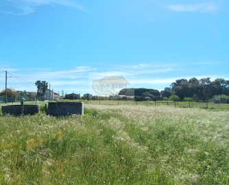 Terreno para Venda em Grândola e Santa Margarida da Serra